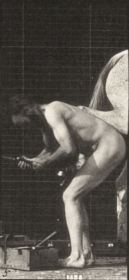 Plate 508 Shoeing a horse — figure reference